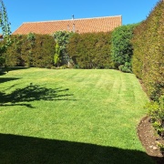 Mantención de áreas verdes