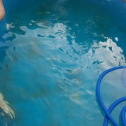 Limpieza de Piscinas