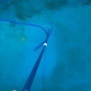 Limpieza de Piscinas